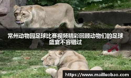英国威廉希尔williamhill官方网站